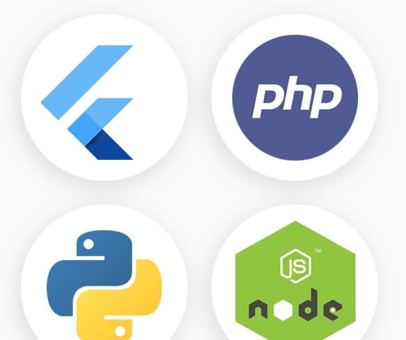 software development & solutions in Singapore